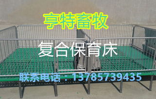 橡膠復合墊在養(yǎng)豬設備中的應用與市場報價分析