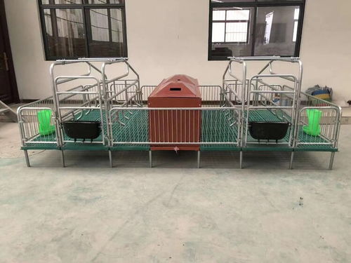 定做母豬產床 豬用復合板單雙體分娩床與保育床兩用定位欄的優(yōu)勢與應用