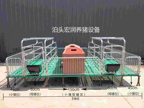 泊頭市宏潤養(yǎng)豬設備廠 專業(yè)打造高效養(yǎng)豬設備，助力現(xiàn)代養(yǎng)殖發(fā)展